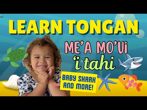 Baby Shark in TONGAN 🦈🤩🌊 Learn to speak TONGAN 🇹🇴 for kids! 