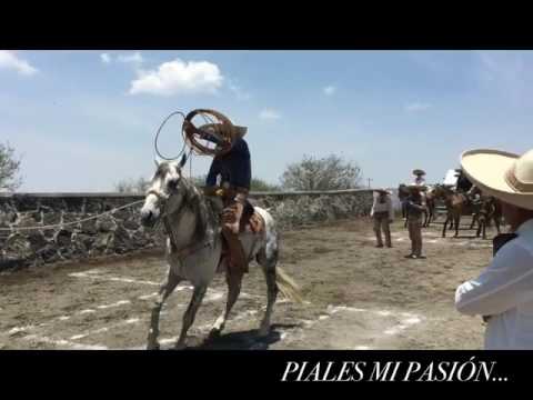 2da PARTE DEL TRADICIONAL PIALADERO ABIERDO DEL CERRO CUENCA DEL PAPALOAPAN ...