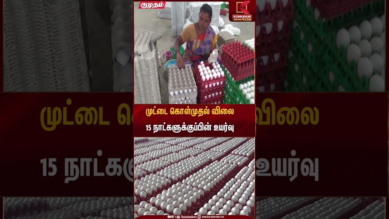 முட்டை கொள்முதல் விலை 15 நாட்களுக்குப்பின் உயர்வு | Egg Rate | Kumudam News