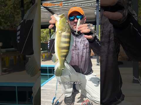 O TUCUNARÉ AZUL do Lago do Peixe no Tocantins.  #pescaria #tucunare