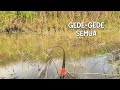 This Spot Turned Out To Be A Giant Tilapia Hotspot