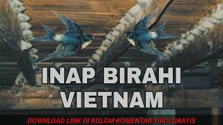 Download lagu INAP BIRAHI VIETNAM TERBAIK 2019 mp3 Download lagu INAP BIRAHI VIETNAM TERBAIK 2019 mp3