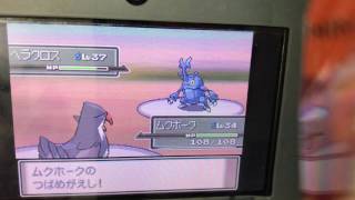 ポケモンプラチナ7ライバル対決inミオシティ！！