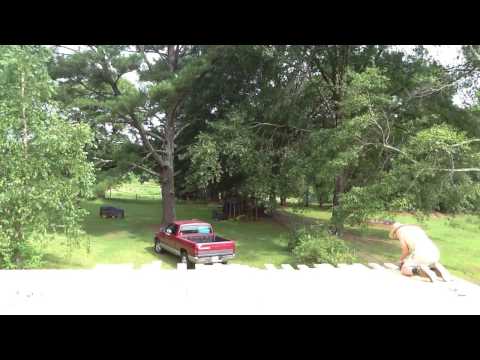 135FA1F7-62CA-42D7-B7B8-4D22562EB3A5.mov