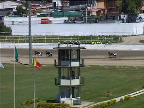 Trotto 01/05/2017 - 1ª corsa pony