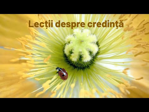 1. Credința și viața