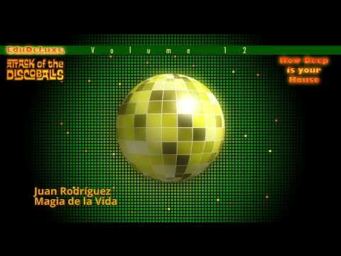 Attack of the Discoballs, Volume 12 - How deep is your House