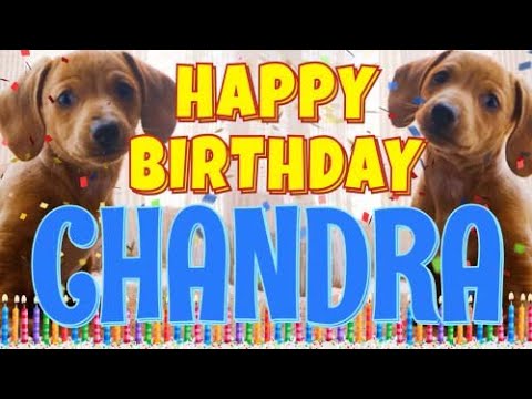 Happy Birthday Chandra! ( Funny Talking Dogs ) What Is Free On My Birthday