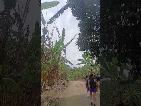 Trilha em Natuba #trilhasradicais #turismo #vidanaroça #caminhoparaumavidamelhor