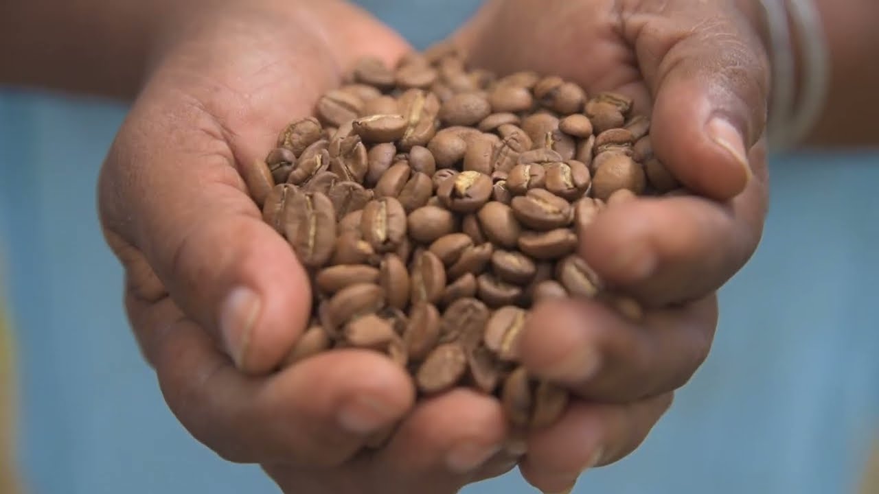 Now For Tomorrow - Vibrant Communities