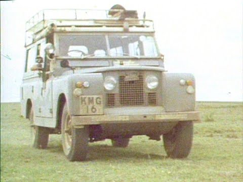 Jane Goodall and the Wild Dogs of Africa