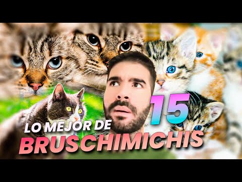 LO MEJOR DE LOS BRUSCHIMICHIS 15 - PABLO BRUSCHI