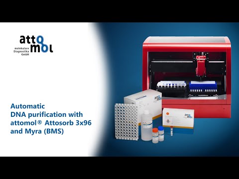 Automatische DNA-Reinigung mit attomol® Attosorb 3x96 und dem Myra (BMS)
