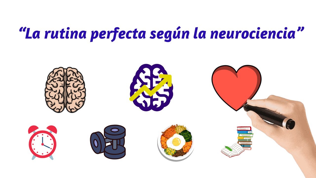 La RUTINA PERFECTA según la neurociencia / Vive con energía y experimenta tu mejor versión.