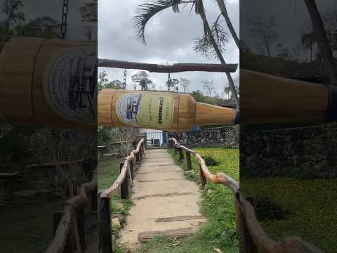 Nova União, Minas Gerais #shortvideo #viajareeternizar #minasgerais #restaurantes