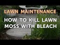 How to Kill Lawn Moss With Bleach
