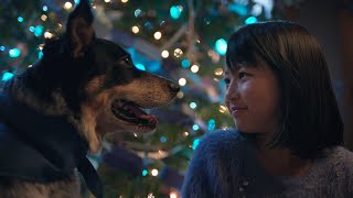 Crayola Blue Christmas | Creating a Brighter Holiday