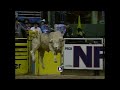 Bodacious 1993 NFR Round 5