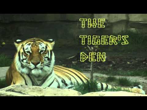 April 25th Power Trading Hour with David White on TFNN - 2016