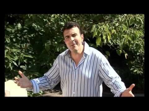 -SABRIJA VULIC-BURMA -(SPOT)  HIT