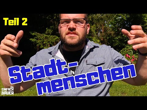 Stadtmenschen auf dem Land - Lila Kühe