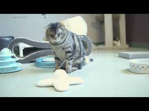 Smooshy & Papa C  2 25 19