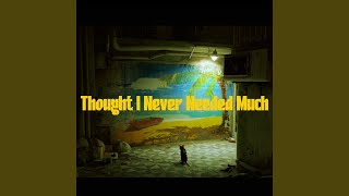 Thought I Never Needed Much