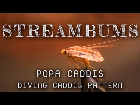 Tying Popa Caddis pattern