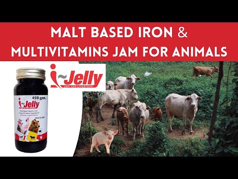 Multivitamin & malt based iron jam supplement for cattle, co...