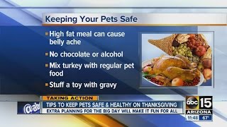 Tips to keep pets safe during Thanksgiving