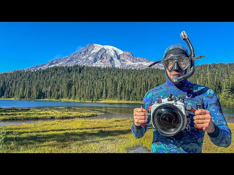I Snorkeled Mount Rainier National Park