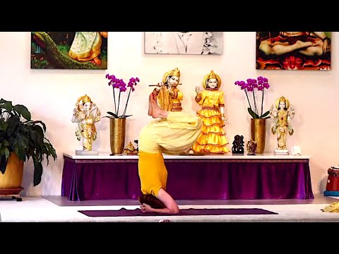 Yogastunde Mittelstufe Grundreihe: "Geistig"- Yoga Vidya Grundreihe Live 09:15 Uhr 23.09.2020