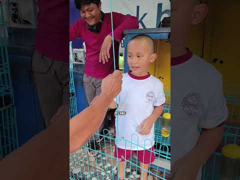 Papa Kaget Dedek Buka Pagar Kandang Anjing Lg Temani Beli Hadiah Ulang Tahun Ara. Jgn Msuk Bs Hilang