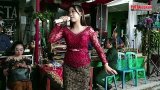 Download lagu MANGKU PUREL GARAP COKEK ALROSTA DONGKER ~ NONIK APRILIA ~ ARS SOUND ~ PUTRA USAHA MULTIMEDIA mp3