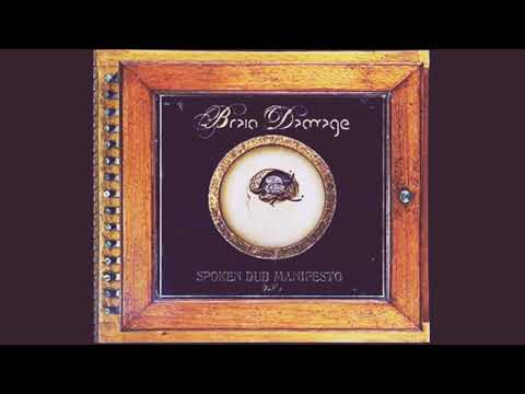 Brain Damage – Fenetres