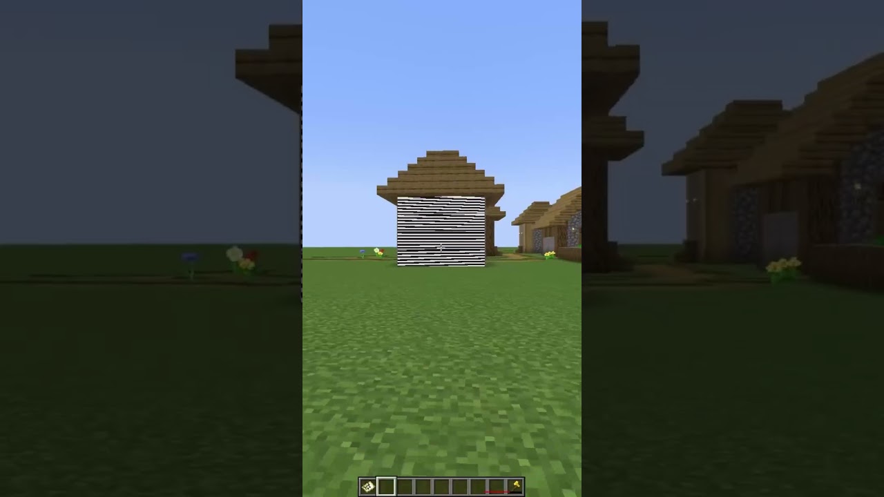 Minecraft Map Illusion🤯 #shorts #minecraft