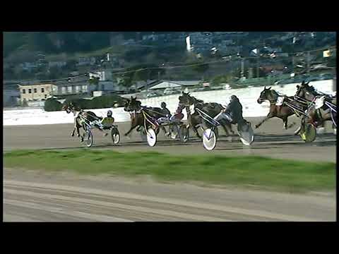 Napoli Trotto 14/02/2021 - 5ª corsa