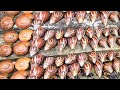 Catching Giant African Land Snails and Saving Them in the Wild