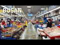 Busan Jagalchi Market Largest Fish Market In Korea Live And Dried Seafood 4K Walking Tour