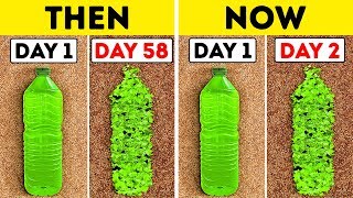 Scientists Have Found Plastic-Eating Bacteria