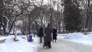 preview picture of video 'УКРАИНА, Киев: Парк Шевченко в Снегу'