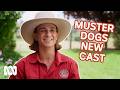 Novice Dog Trainers Take On The Muster Dogs 12 Month Challenge In New Season Twist Muster Dogs