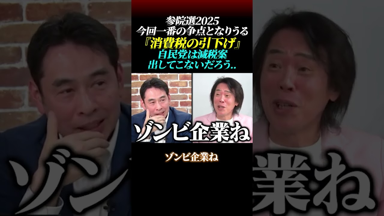 【参院選2025】今回一番の争点となりうる『消費税の引下げ』自民党は減税案出してこないだろう…#参院選2025 #消費税減税 #自民党 #財務省 #物価高 #リハック