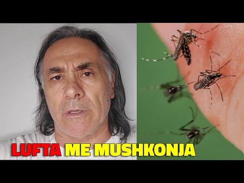 LUFTA ME MUSHKONJA😳 JA E VERTETA🌏