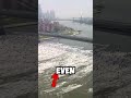 Annual NYC ️ Jet Ski Invasion TT Thejessmith