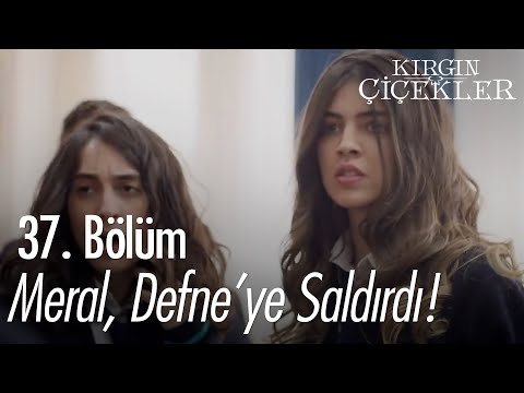 Meral, Defne'ye saldırdı! - Kırgın Çiçekler 37. Bölüm