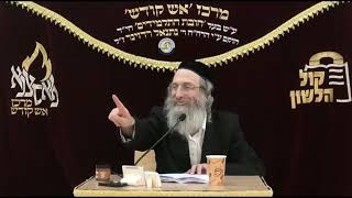 הרב אלימלך בידרמן | הילולת האור החיים, בין תלמידיו של אברהם אבינו לשל בלעם הרשע - פרשת בלק תשפ"ה
