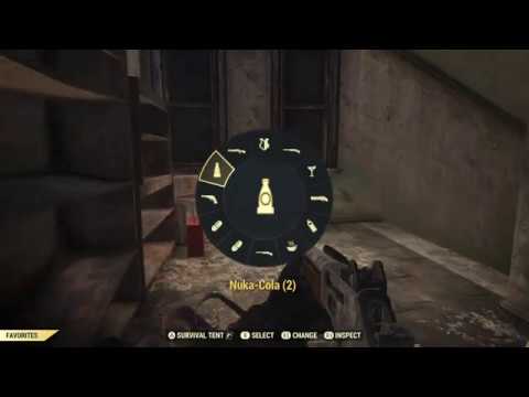 Two Brothers Bit Chen: Fallout 1st