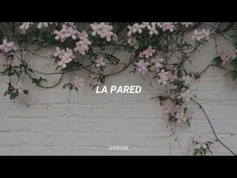 Shakira - La Pared || Letra en Español