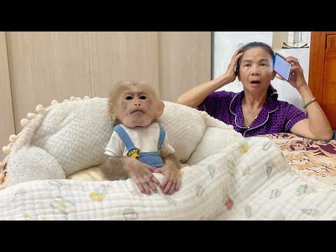 Lulu Is Getting Worse — We Just Hope She Can Make It